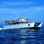 Puerto Vallarta Tours