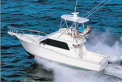 35' Cabo Convertible - Puerto Vallarta Fishing