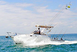 Puerto Vallarta Deep  Fishing on Deep Sea Fishing Puerto Vallarta