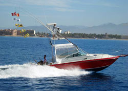 Puerto Vallarta Fishing