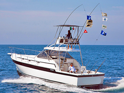 fishing boat rental puerto vallarta 36 alura fishing charter puerto vallarta fishing boat rental puerto vallarta 36 alura fishing charter puerto vallarta