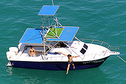 Puerto Vallarta Fishing Grady White Yacht 27'