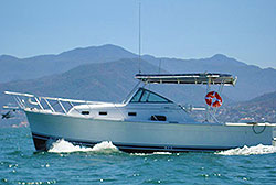 Deep Sea Fishing Puerto Vallarta