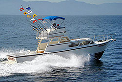 Fishing Charter Puerto Vallarta