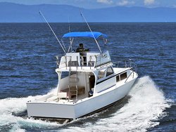 Deep Sea Fishing Vallarta