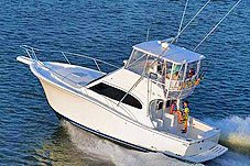 Fishing Trips Puerto Vallarta - 36' Luhrs