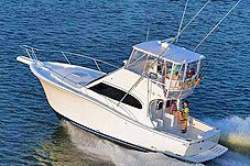 Fishing Trips Puerto Vallarta - 36' Luhrs