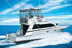 Custom 36' Fishing Charter