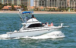 Fishing Trips in Vallarta