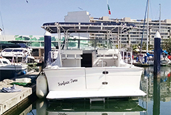 Puerto Vallarta Yacht Charter