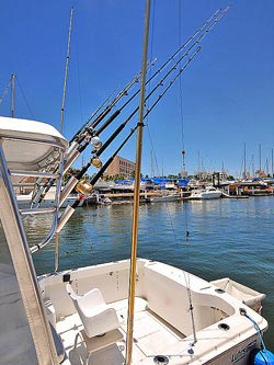 Puerto Vallarta Private Fishing