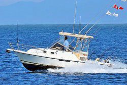 Deep Sea Fishing Puerto Vallarta