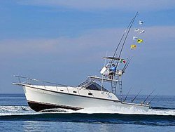 Alura 36' Fishing Charter