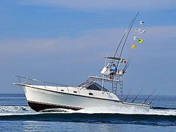 Alura 36' Fishing Charter